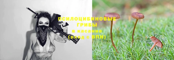 наркотики Каменка