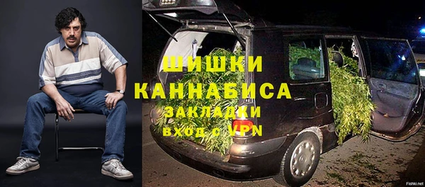 дживик Каменногорск