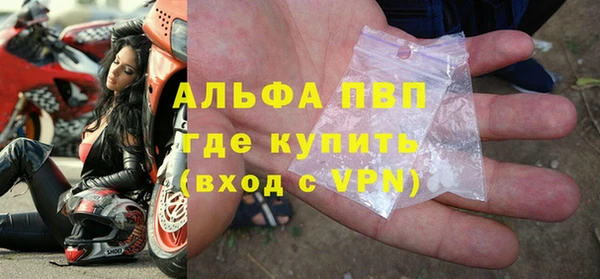 дживик Каменногорск