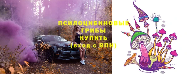 дживик Каменногорск