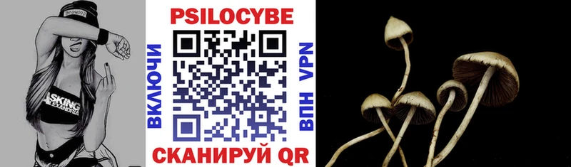 Галлюциногенные грибы мицелий  Купить закладки  Каменск-Шахтинский 